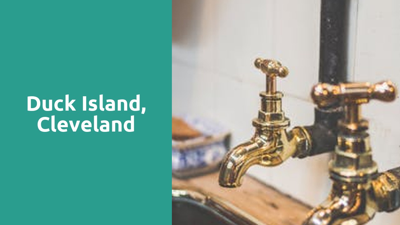 Duck Island, Cleveland