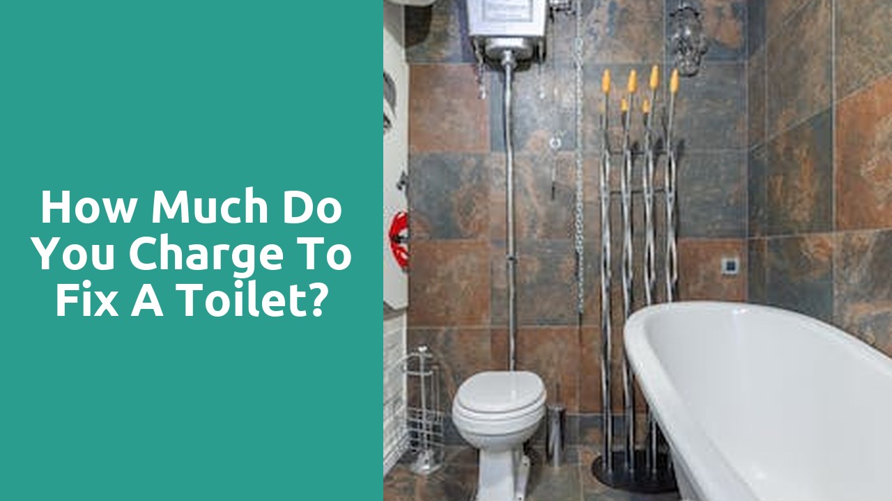 How much do you charge to fix a toilet?