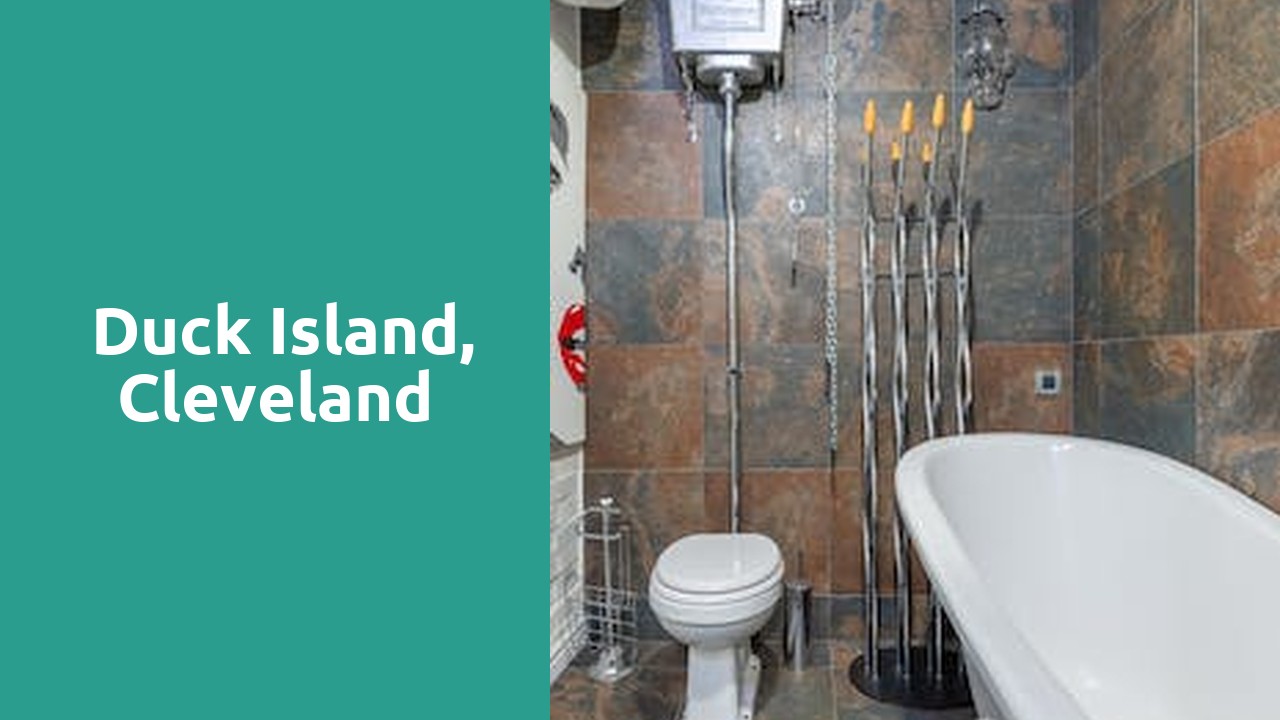 Things to do and places to visit in Duck Island, Cleveland