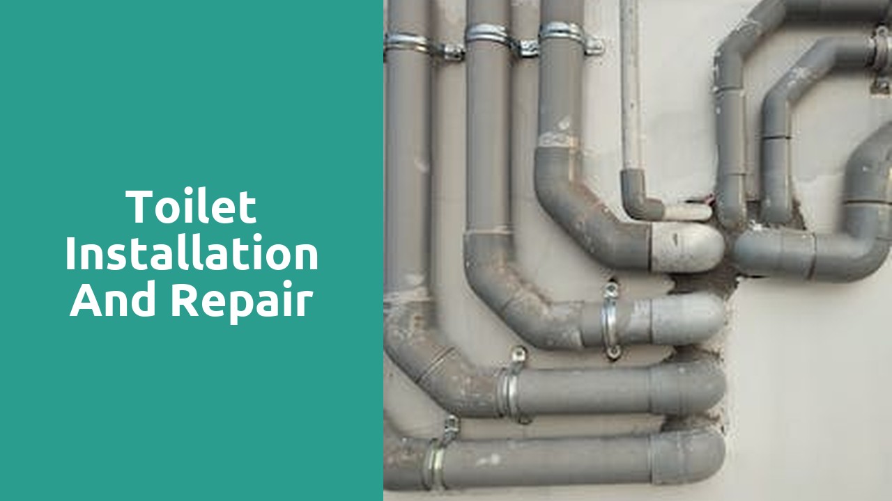 Toilet installation and repair